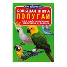 Большая книга «Попугаи» - Фото 1