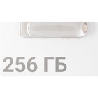 Флешка Digma 256GB DRIVE3 DGFUM256A30SR USB3.0 серебристый - фото 51693075 Флешка Digma 256GB DRIVE3 DGFUM256A30SR USB3.0 серебристый - фото 51693075