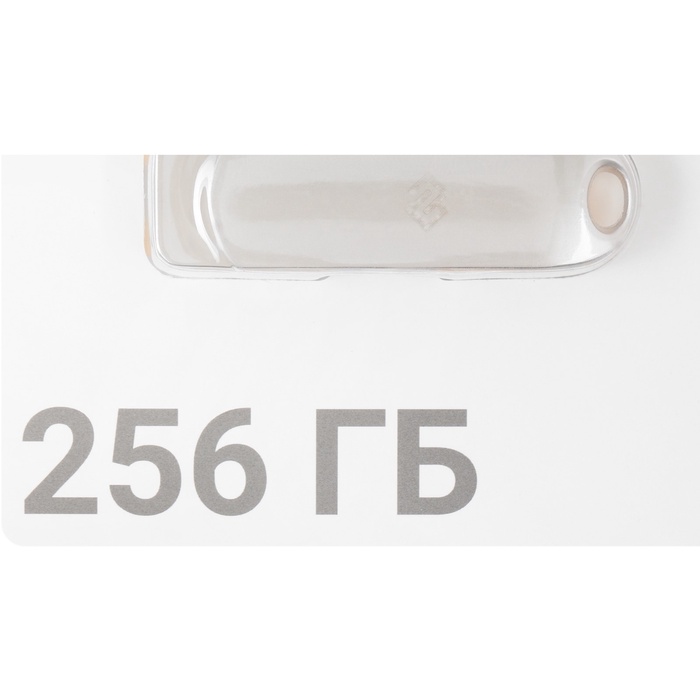 Флешка Digma 256GB DRIVE3 DGFUM256A30SR USB3.0 серебристый - фото 51693075