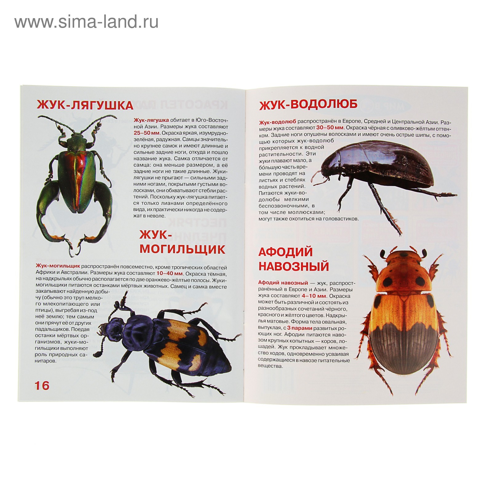 Nissan Juke (1G) 1.6 бензиновый 2014 ♡ El sueño de violeta ♡ на DRIVE2