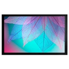 Экран на раме Cactus 124x220см FrameExpert CS-PSFRE-220X124 16:9 настенный натяжной - фото 51693597