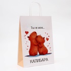 Пакет подарочный бумажный, "Моя Капибара", 24 х 10,5 х 32 см (комплект 10 шт) - фото 26921795