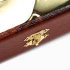 Нарды деревянные большие с шашками, настольная игра "Лев", 60 х 60 см - фото 26396564