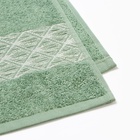 Полотенце махровое Silver snake 50х80см, цвет зелёный, 360г/м, хл100% - фото 26655272