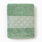 Полотенце махровое Silver snake 50х80см, цвет зелёный, 360г/м, хл100% - фото 26655274