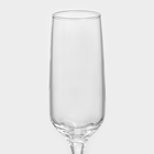 Набор стеклянных бокалов для шампанского Isabella, 200 мл, 6 шт - Фото 2