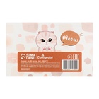 Планинг недатированный Calligrata «Котопланинг», A6, 50 листов, отрывные листы, мягкая обложка 9824717