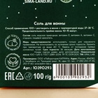 Соль для ванны «С Новым Годом», 100 г, аромат имбирного печенья, URAL LAB (комплект 2 шт) - фото 53399748