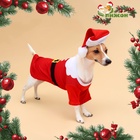 Толстовка для собак с колпаком Santa, XL (ДС 40, ОГ 50 см) - Фото 1