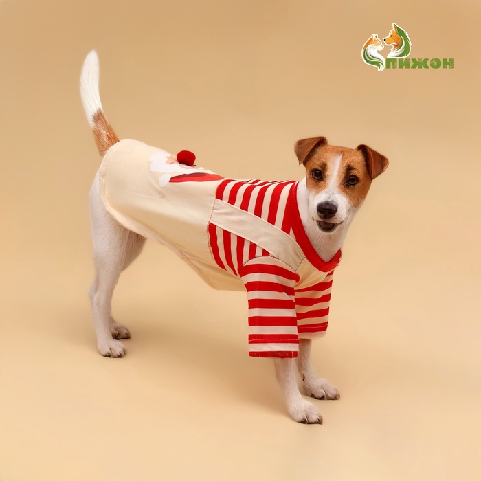 Футболка для животных Santa, M (ДС 30, ОГ 40 см) - Фото 1