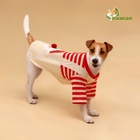 Футболка для животных Santa, S (ДС 25, ОГ 35 см) - Фото 2