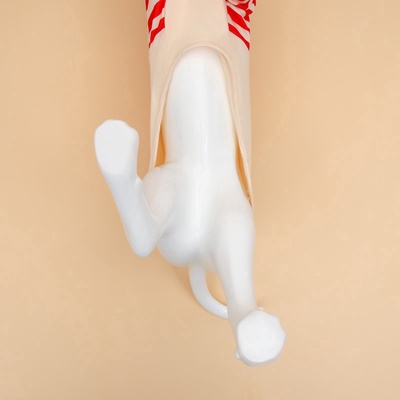 Футболка для животных Santa, XL (ДС 40, ОГ 50 см)