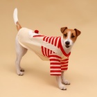 Футболка для животных Santa, XXL (ДС 45, ОГ 55 см) - Фото 1