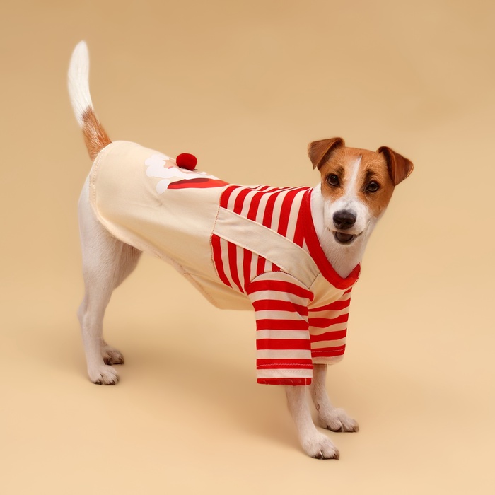 Футболка для животных Santa, XXL (ДС 45, ОГ 55 см) - Фото 1