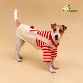 Футболка для животных Santa, XXL (ДС 45, ОГ 55 см)