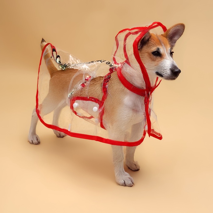 Дождевик для собак, размер L (ДС 30, ОГ 41-46, ОШ 42 см), красный - Фото 1