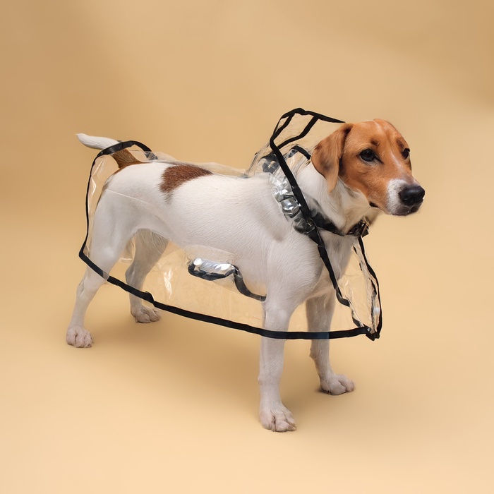 Дождевик для собак, размер 3XL, (ДС 45, ОГ 56-62, ОШ 51 см), чёрный - Фото 1