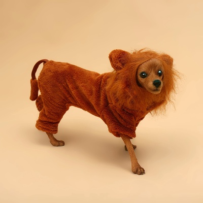 Комбинезон для животных «Лев», размер M, ДС 30, ОГ 40, ОШ 28 см, коричневый