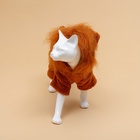 Комбинезон для животных «Лев», размер M, ДС 30, ОГ 40, ОШ 28 см, коричневый - Фото 4