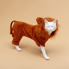 Комбинезон для животных «Лев», размер XL, ДС 40, ОГ 50, ОШ 38 см, коричневый - Фото 2