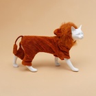 Комбинезон для животных «Лев», размер XL, ДС 40, ОГ 50, ОШ 38 см, коричневый - Фото 5