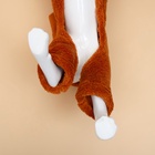 Комбинезон для животных «Лев», размер XL, ДС 40, ОГ 50, ОШ 38 см, коричневый - Фото 7