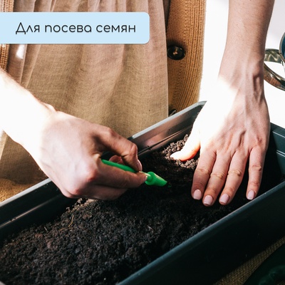 Ящик для рассады, 60×14.5×9 см, 4.5 л, пластик, МИКС