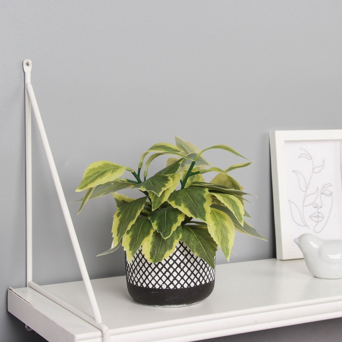 Искусственный цветок в горшке «Хоста галант пёстрая», 9×20 см, зелёный - Фото 1