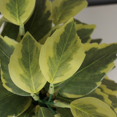 Искусственный цветок в горшке «Хоста галант пёстрая», 9×20 см, зелёный