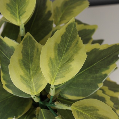 Искусственный цветок в горшке «Хоста галант пёстрая», 9×20 см, зелёный