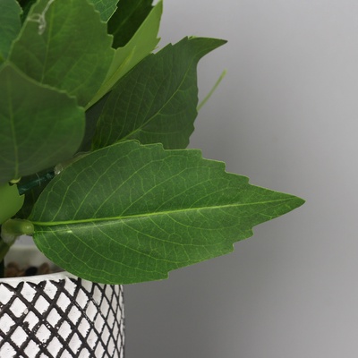 Искусственный цветок в горшке «Хоста галант», 9×20 см, зелёный