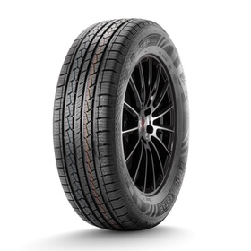 Шина летняя DoubleStar DS01 225/70 R16 103T