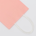 Пакет крафт розовый, круглая ручка, 15 х 21 х 8 см, 120 г - фото 808431943