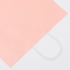 Пакет крафт розовый, круглая ручка, 31.5×25×11.5 см, 120 г 10420719 - фото 12874236 Пакет крафт розовый, круглая ручка, 31.5×25×11.5 см, 120 г 10420719 - фото 12874236