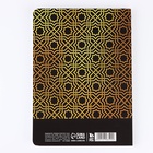 Ежедневник «Власть и успех» А5+, 100 листов, мягкая обложка, софт-тач - Фото 4