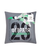 Наволочка декоративная Этель «Самолёт. 23 февраля», 40×40 см, велюр, серая  (артикул 10808279)  большой выбор товаров оптом и в розницу по низким ценам с доставкой