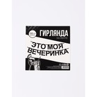 Гирлянда на ленте «Моя вечеринка», 190 см - фото 809639803