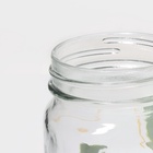 УЦЕНКА Набор банок стеклянных Доляна «Свежий бриз», 2 предмета: 2 банки с крышками и трубочками 450 мл - Фото 4