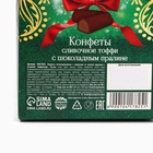 Конфеты на новый год шоколадные в коробке «Счастья», 100 г 10417825 - фото 13990185