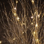 Светодиодная фигура «Ветви бежевые» 100×108×6 см, 30 LED, от батареек AAx3, свечение тёплое белое - Фото 3