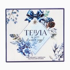 Подарочный набор новогодний «Тепла и уюта» чай 50 гр, пастила 10430786