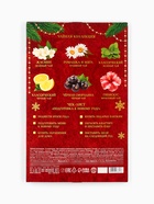 Адвент календарь с чаем «Счастья в новом году», 12 пакетиков - Фото 9