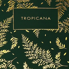Ежедневник недатированный A5, 136 листов, deVENTE. Tropicana, твёрдая обложка из искусственной кожи, тиснение фольгой, перфорация, ляссе, блок 70 г/м2, темно-зеленый