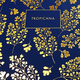 Ежедневник недатированный A5, 136 листов, deVENTE. Tropicana, твёрдая обложка из искусственной кожи, тиснение фольгой, перфорация, ляссе, блок 70 г/м², темно-синий