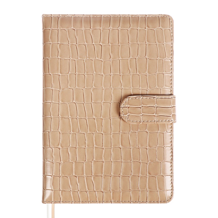 Ежедневник датированный 2025, A5, 168 листов, deVENTE.Barbara, твёрдая обложка с поролоном из искусственной кожи, хлястик, перфорация, ляссе, блок 70 г/м², бежевый - Фото 1