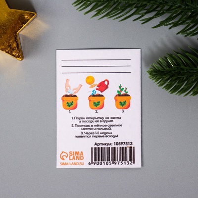 Набор открыток для выращивания «Арт Узор. Вырасти сам. Улыбок» с семенами, 3 шт., 5×7 см