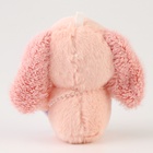 Мягкая игрушка «Зайчик» - Фото 4