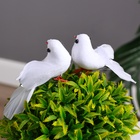 Набор фигур «Пара голубей», 8×4×3 см - Фото 2