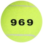 Набор мячей для большого тенниса ONLYTOP № 969, тренировочный, 3 шт. - Фото 1