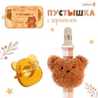 Пустышка с держателем «Мишка», набор в контейнере, коричневый - Фото 1